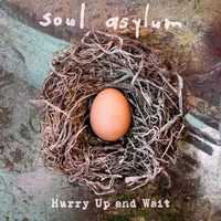 Soul Asylum "Hurry Up And Wait" CD (Nowa w folii)
