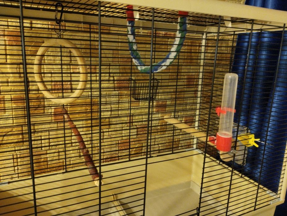 Велика клітка Ferplast Piano 5  для хвилястих папуг та малих птахів