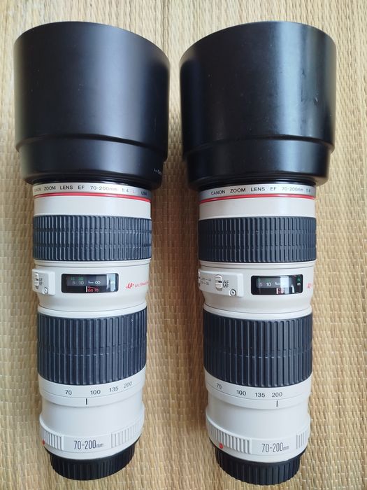 Lentes Canon EF 24 70mm, 70 200mm, 50 500