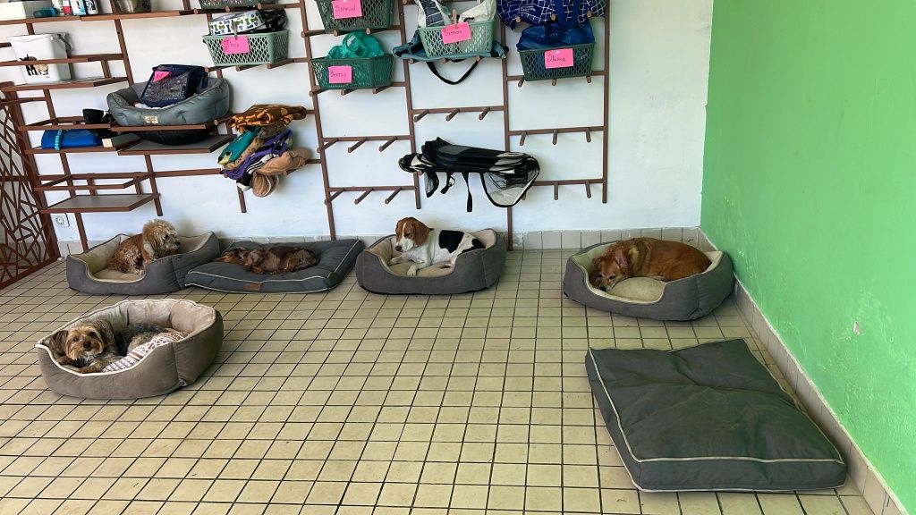 Serviço hotel e Creche em estadia familiar