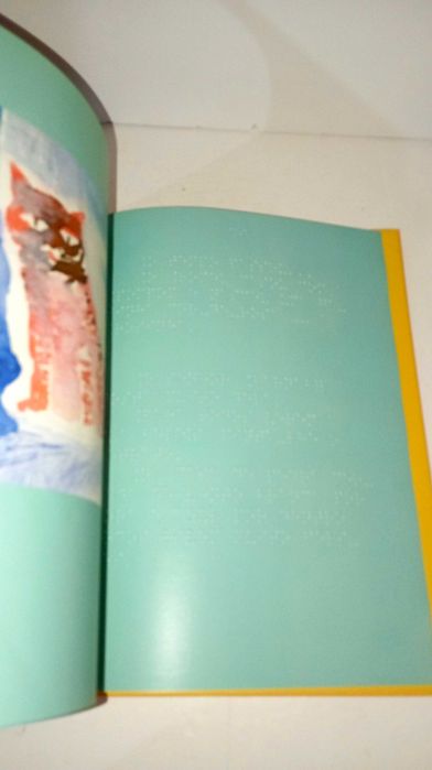 Madalena e a Gatinha Pompom - Texto impresso e em Braille