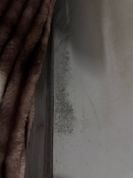 Удаление плесени , удаление грибка - Озонирование помещения !