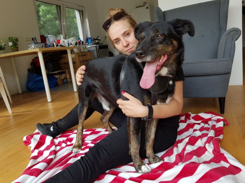 Uśmiechnięty Baddy czeka własnie na Ciebie - do adopcji :)