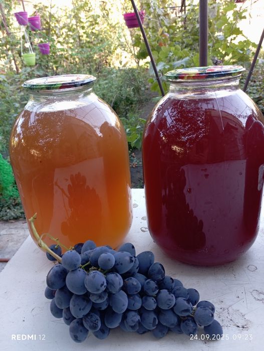 Сік виноградний 2025 року