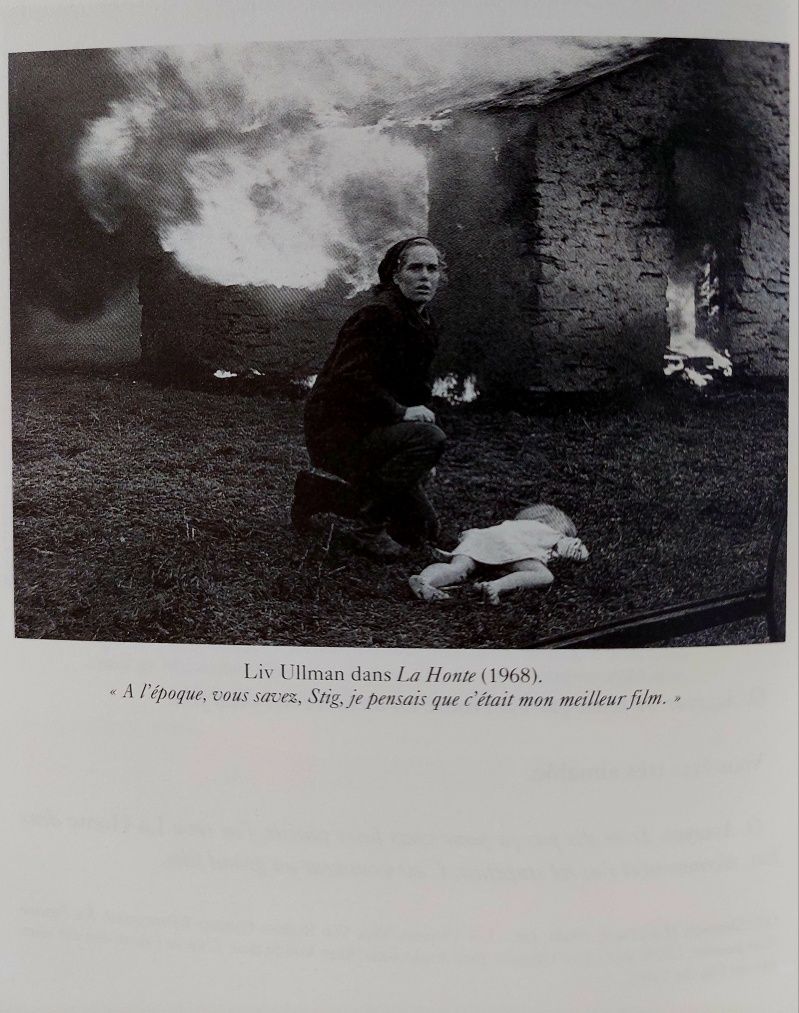 Conversation Avec Bergman