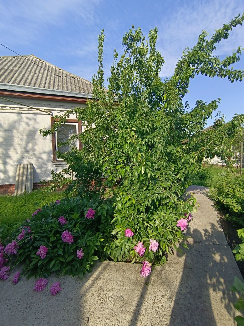 Терміново продається будинок