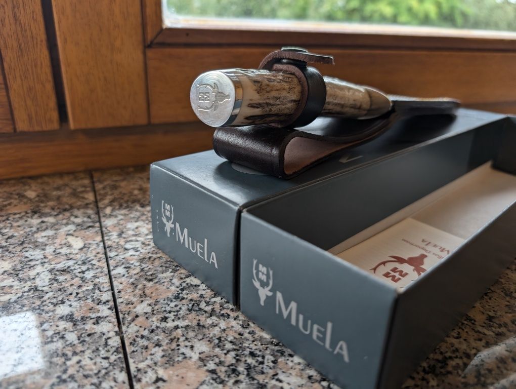 Nóż myśliwski Muela Deer Stag 160mm (TEJON-16)