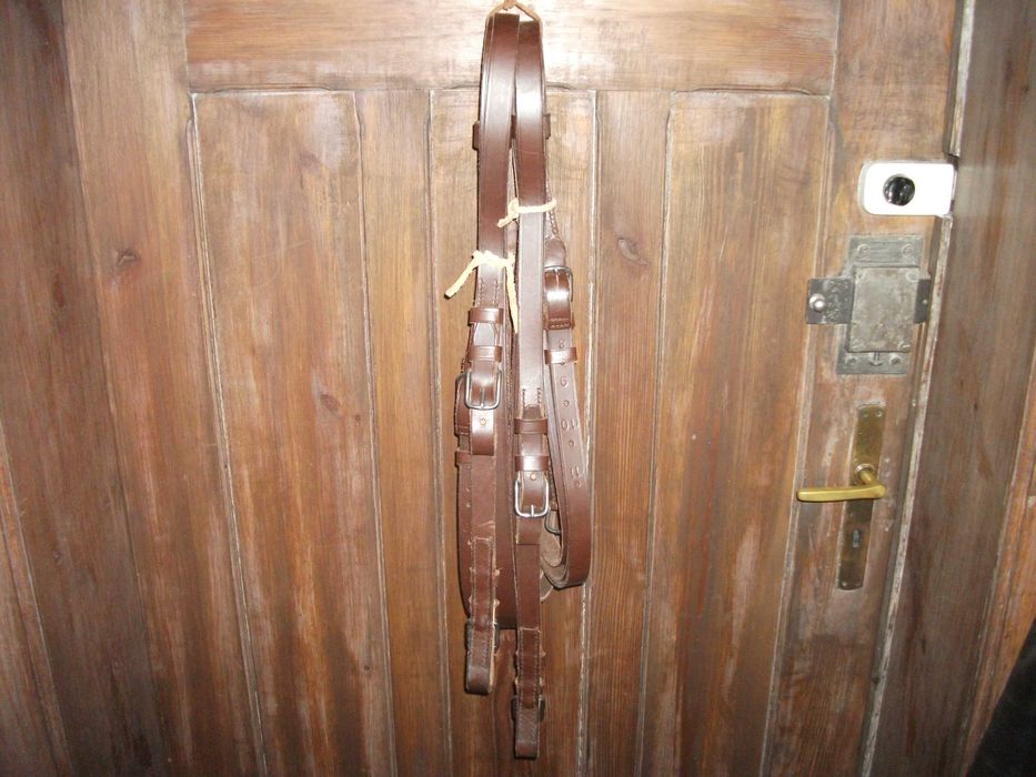 Lejce parokonne, na parę koni Achenbacha