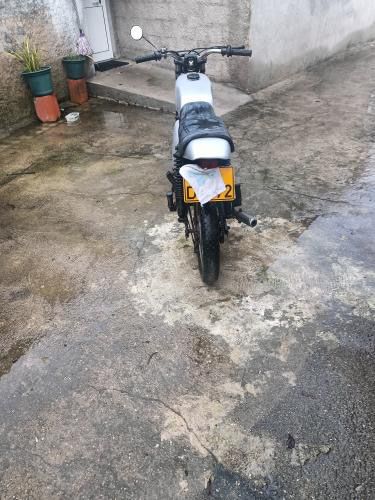 Mota para venda macal