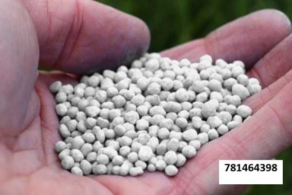 KREDA Z KORNICY, Nawozowa, Granulowana, Luzem, Big bag, Odmiana 06a,