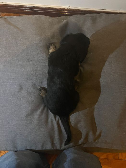 Para doação responsável