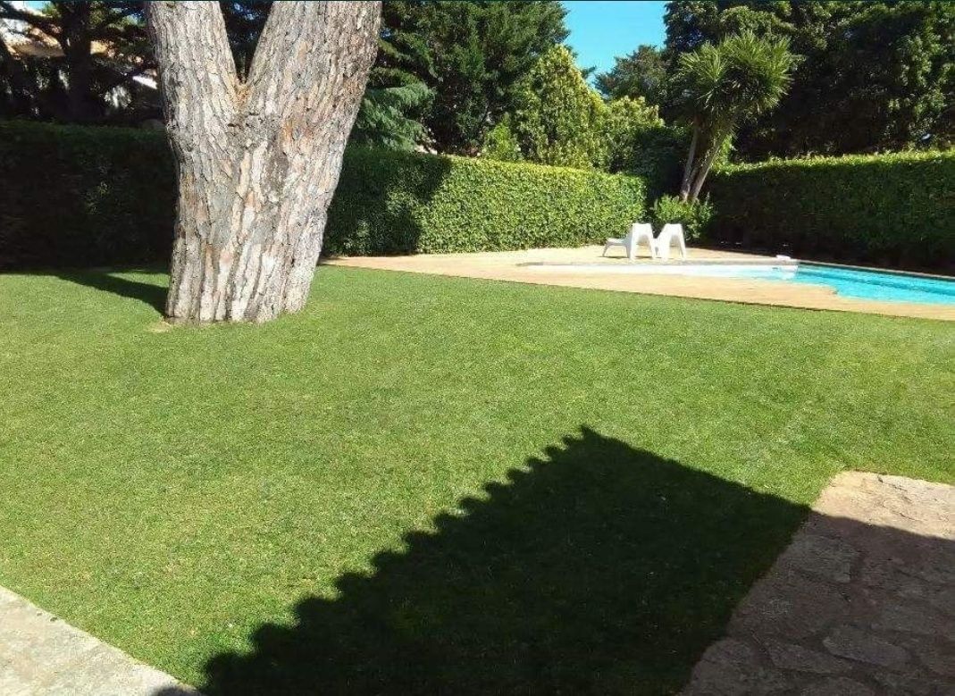 Jardineiro Particular