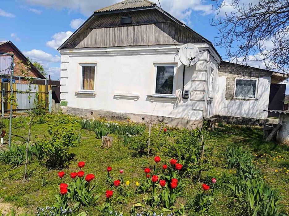 Продам будинок село Потіївка Житомирська область