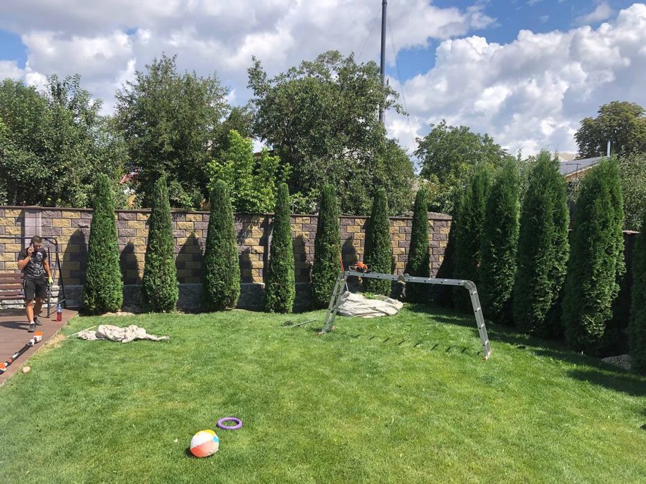 Садівник,Ландшафтний дизайн Вишенки,Золоче