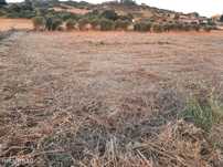 Terreno  para venda