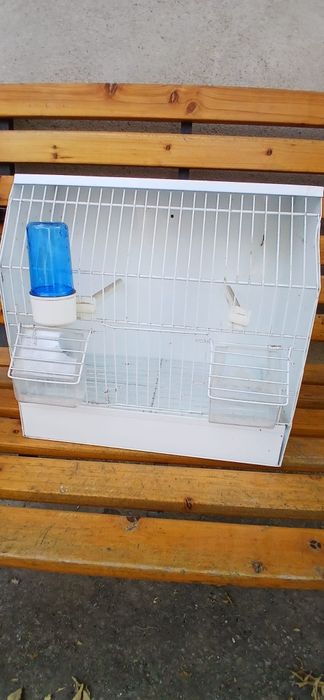 Gaiola exposição