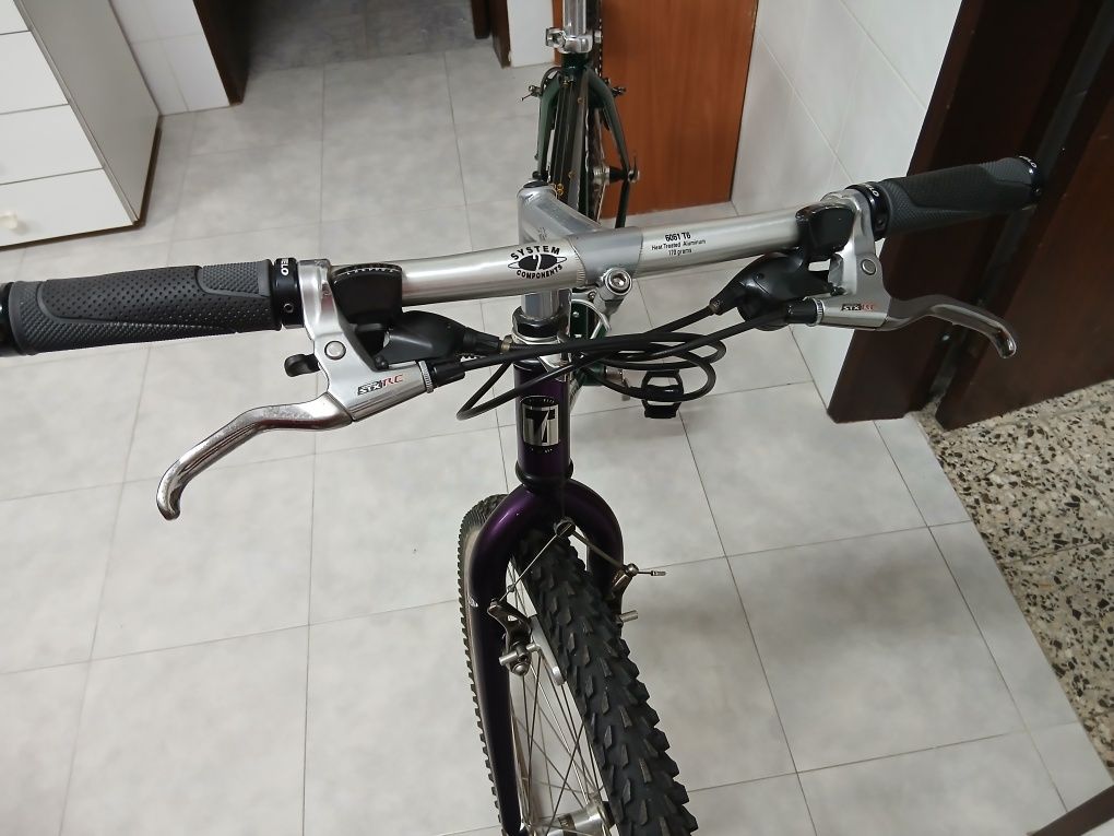 Bicicleta TREK (MTB) Vintage