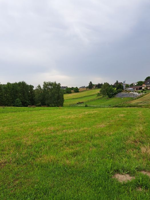 Sprzdam działkę budowlaną o pow. 1540 m2 w piątej linii zabudowy