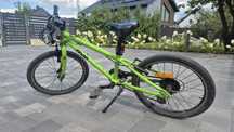 Rower frog 20 cali