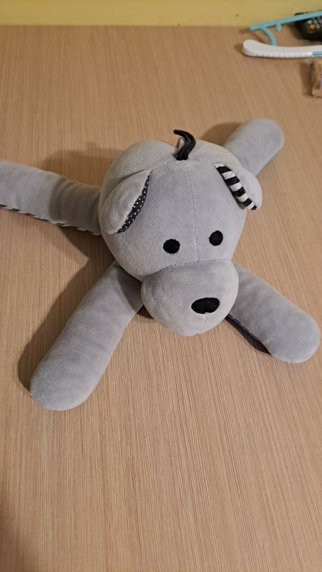 Miś szumiś Wishbear