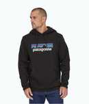 All colors LUX Худі світшот Patagonia P-6