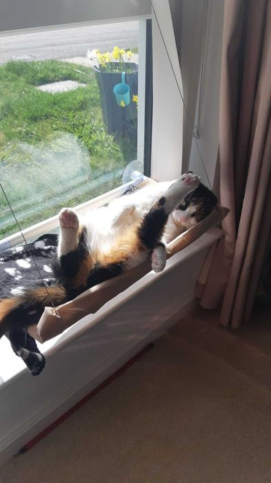 Hamak legowisko dla kota na okno + kocyk zestaw