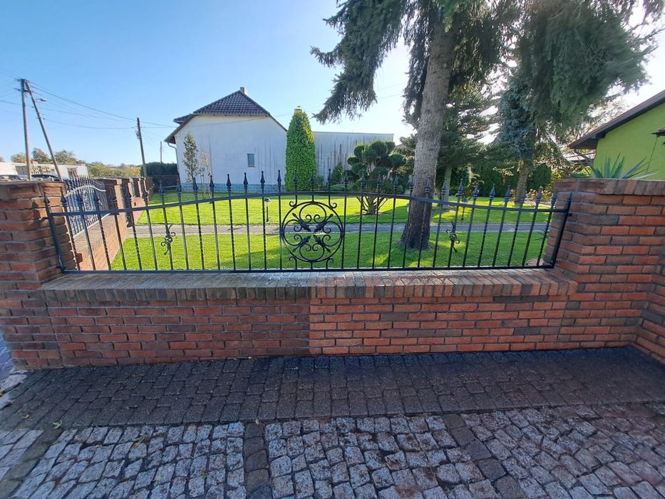 Mycie elewacji domów ścian dachów kostki hal