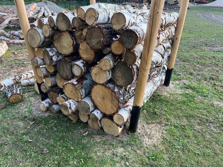 Drzewo drewno opałowe dąb, brzoza, sosna