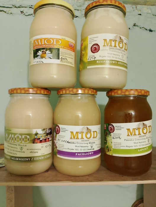 Miód tegoroczny 2024