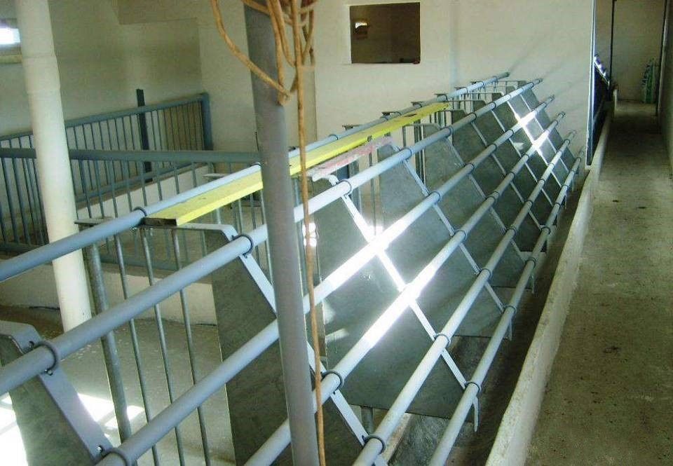 Kojce porodowe dla loch.