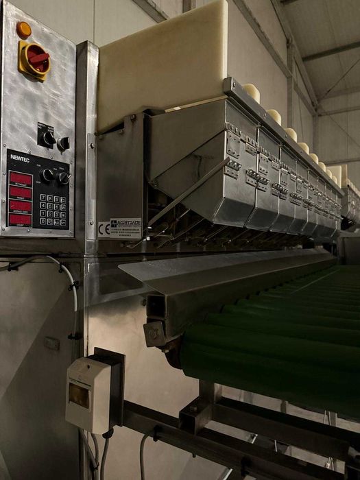 Waga kanałowa 2009 XBG do warzyw, ziemniaków cebuli marchwi pietruszki