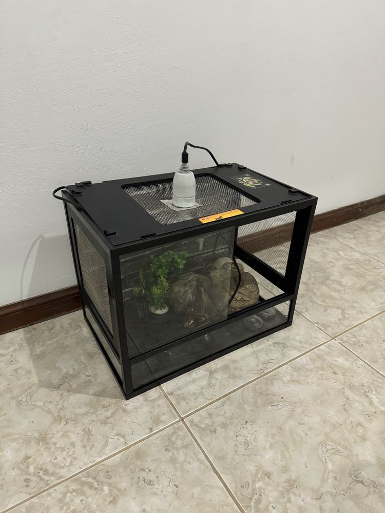 Terrario para repteis