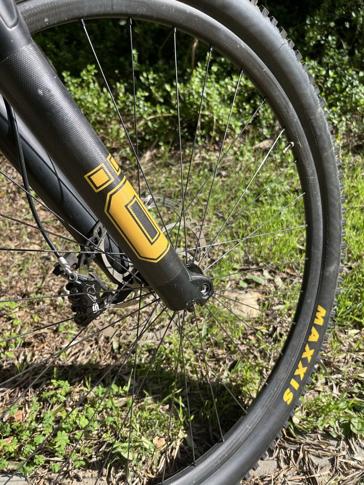Specialized Stumpjumper Sworks 29 - S