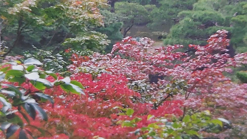 Fotografia „Beach Day #2” Hiroko Shikashio – limitowana edycja