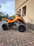 Quad dinli 300 czesci silnika