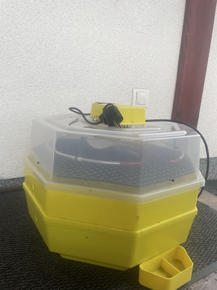 Inkubator cleo 5