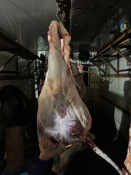 Мʼясо Свинина Телятина Сало Домашнє