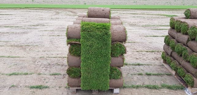 Trawa z rolki |trawniki z rolki|Montaż| Nawozy