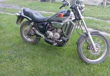 Aprilia Red rose