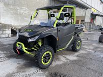 Квадроцикл Баги Багги Багі Баггі ATV UTV Segway Fugleman 1000cc