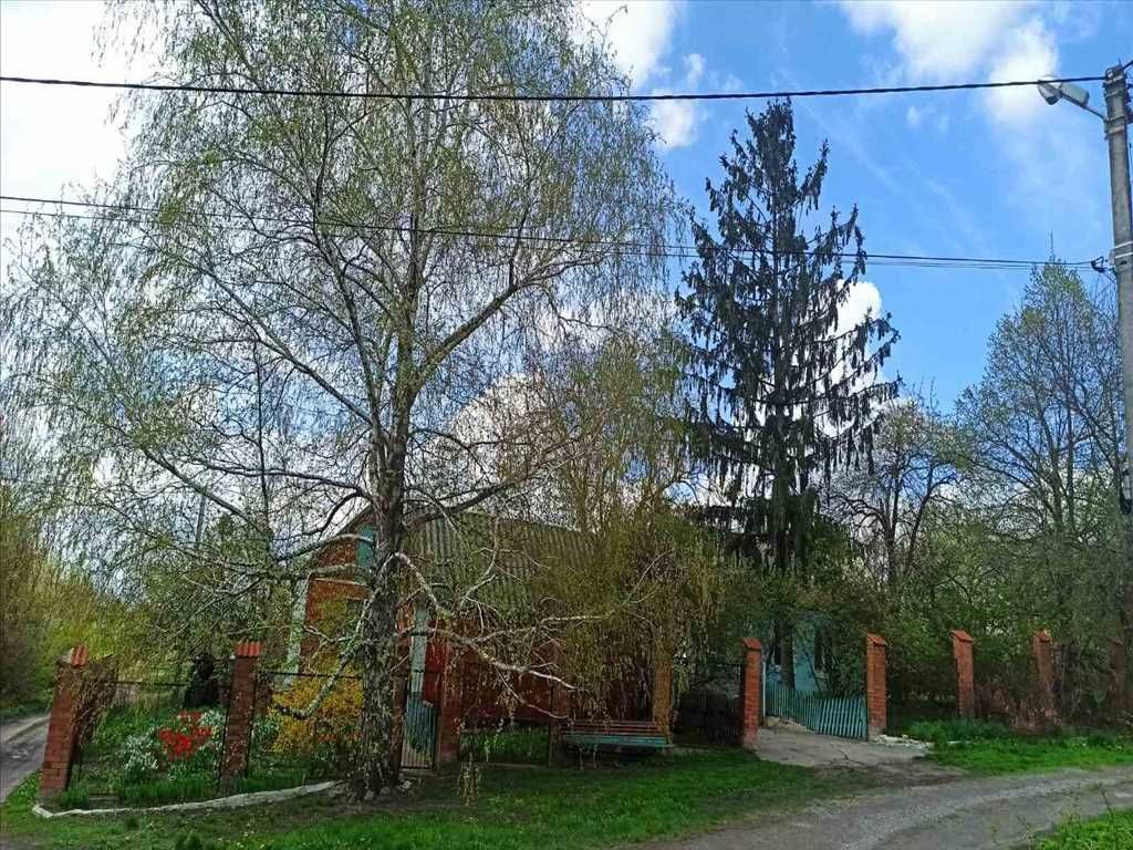 Два будинки по ціні одного в с.Супрунівка