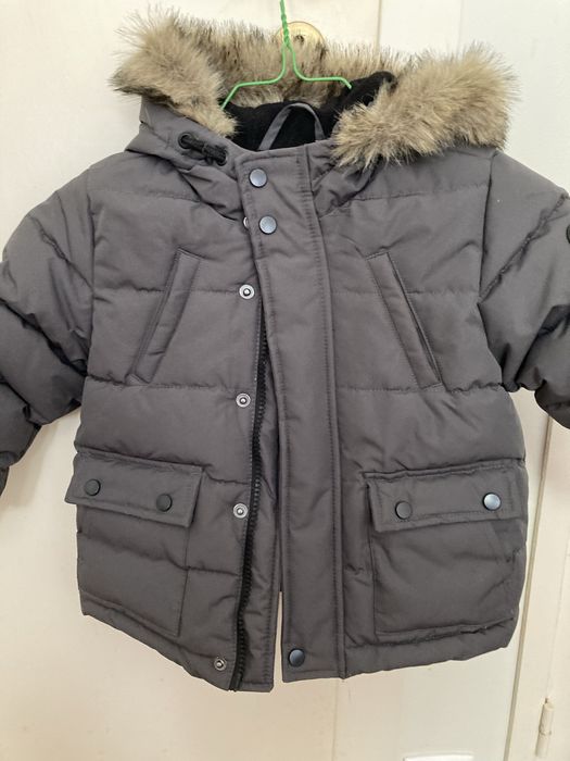 Quispe unix cinzento