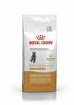 ROYAL CANIN Cat BRITISH Shorthair Adult 13 kg Promocja