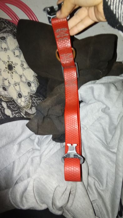 Нашийник вау дог