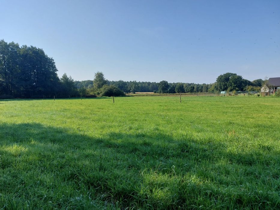 Wyjątkowa działka na sprzedaż