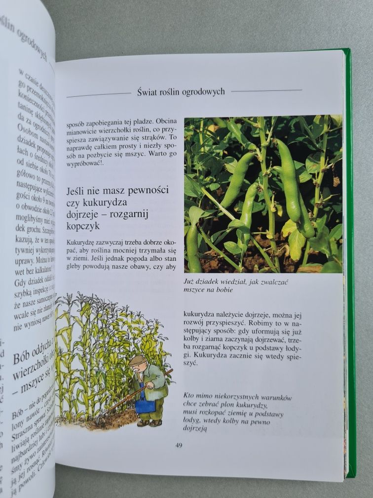 Najlepsze rady dziadka ogrodnika - Książka