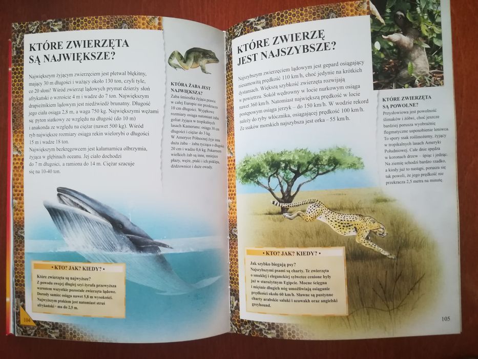 Encyklopedia pytań i odpowiedzi