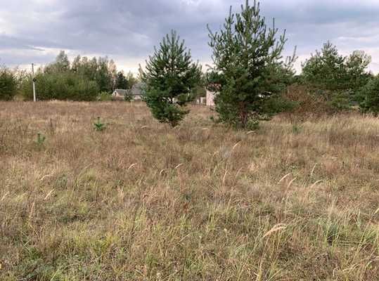 Земельна ділянка 12 соток, Кам'яна Гора, масив "Борковський".