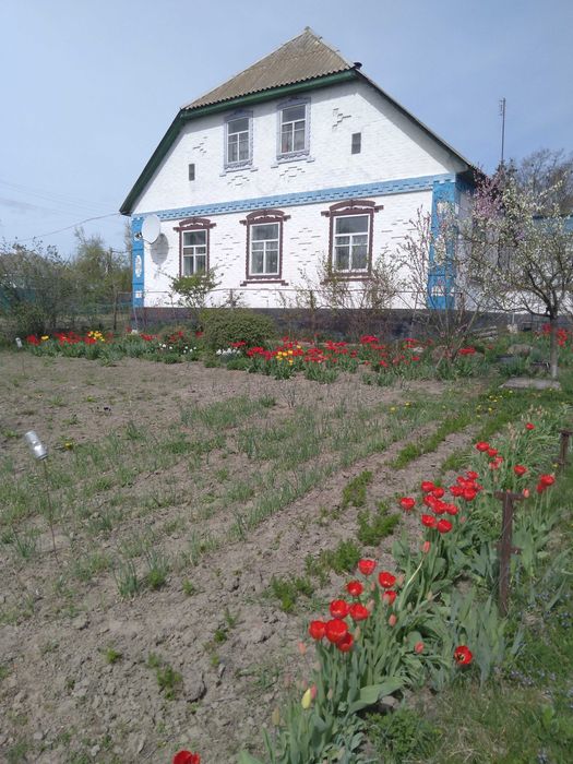 Продається затишний будинок смт Ладан