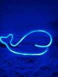 Nowy         neon